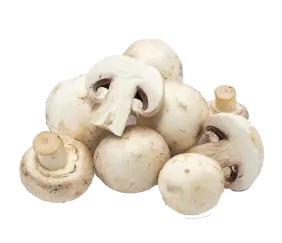 mushrooms